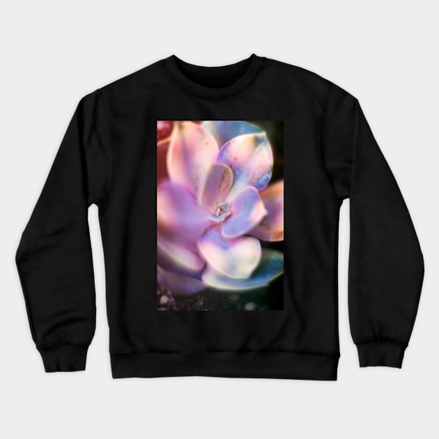 Rainbow echeveria Crewneck Sweatshirt by karinelizabeth